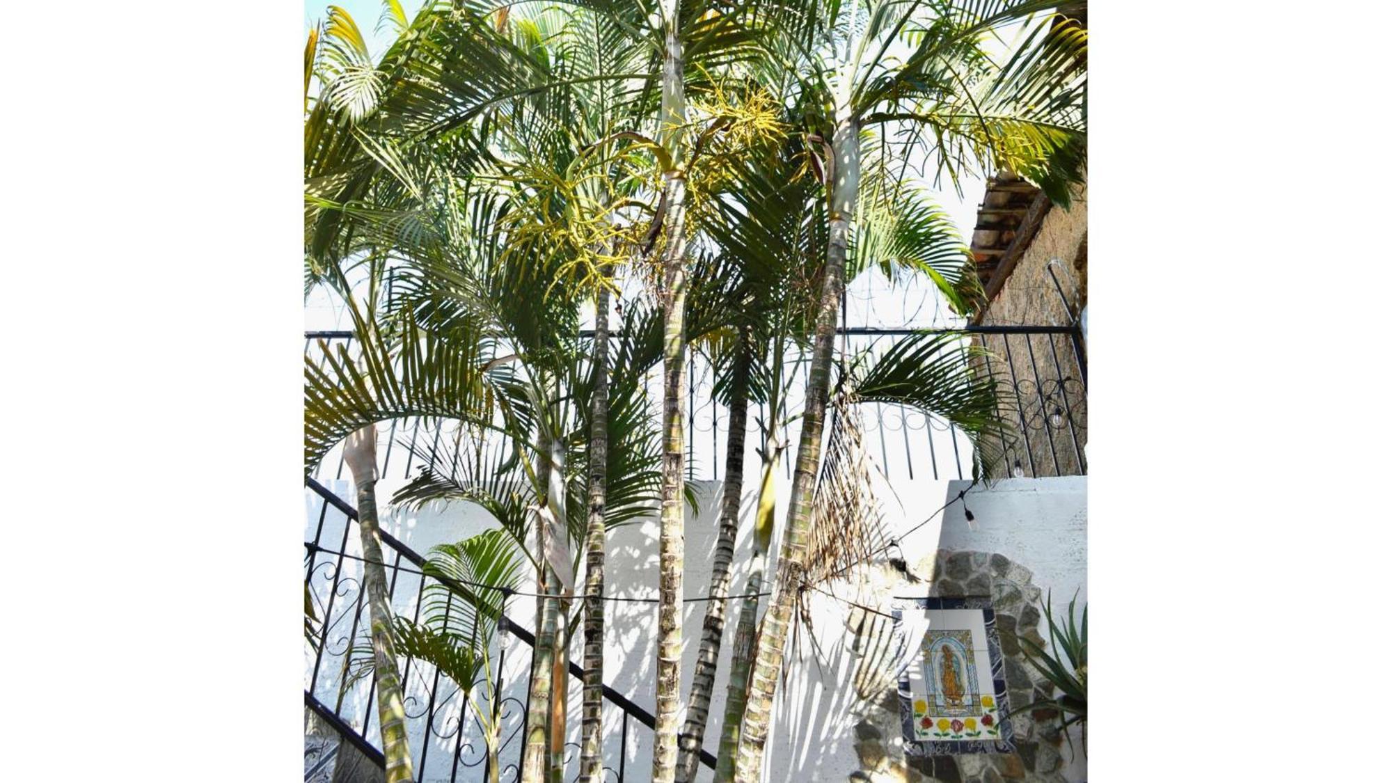 Casa Coco Hostel 圣安娜 外观 照片