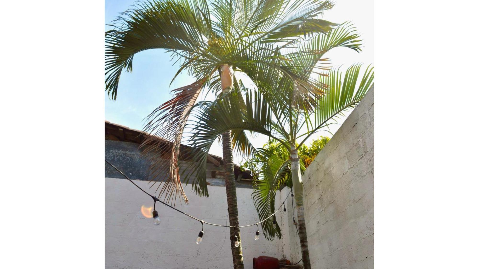 Casa Coco Hostel 圣安娜 外观 照片